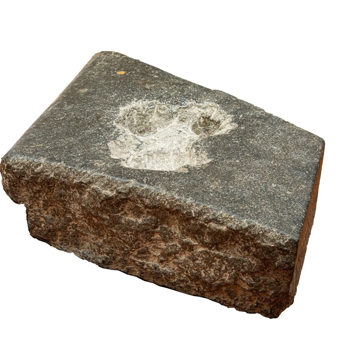 Schilderijen en martelwerktuigen in Museum De Gevangenpoort.