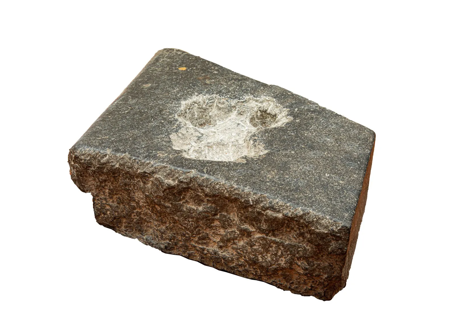 Schilderijen en martelwerktuigen in Museum De Gevangenpoort.
